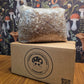 Lion's Mane Mushroom Grow Kit~10lbs