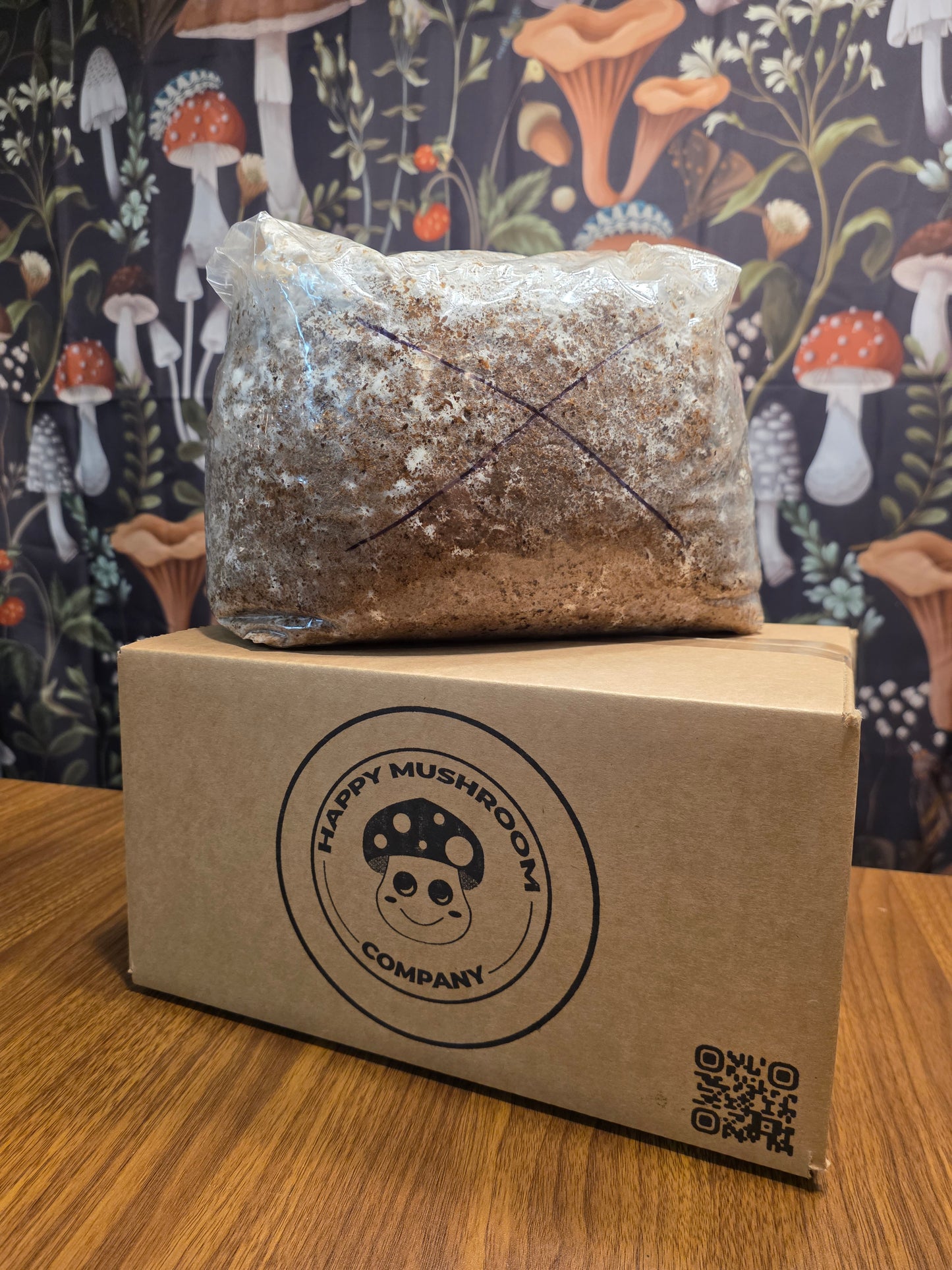 Lion's Mane Mushroom Grow Kit~10lbs